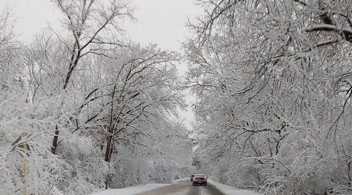 Camp Ground Road Woods Picture 6