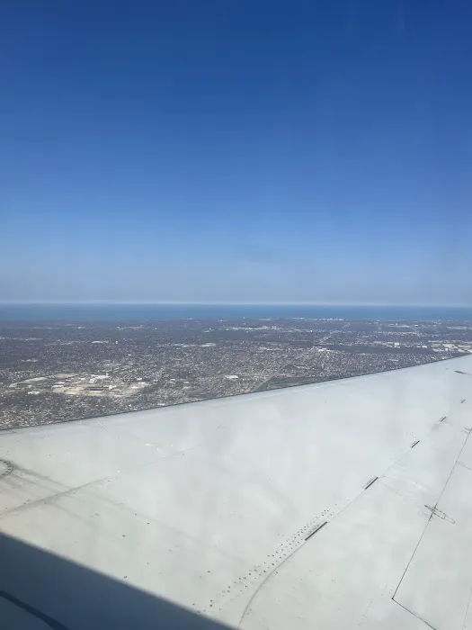 Camp Ground Road Woods Picture 8