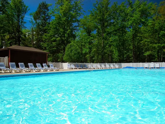 Dune Town Camp-Resort (formerly Yogi Bear's Jellystone Park) Picture 6