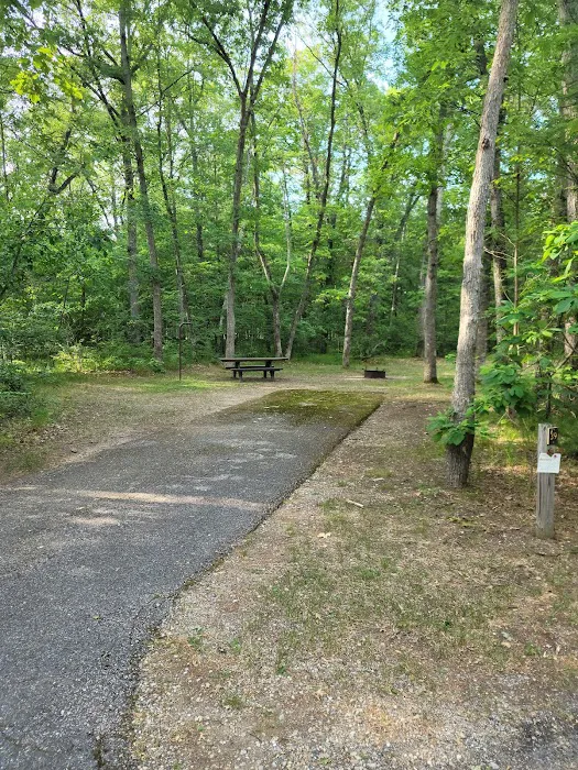 Sand Lake Campground Picture 1