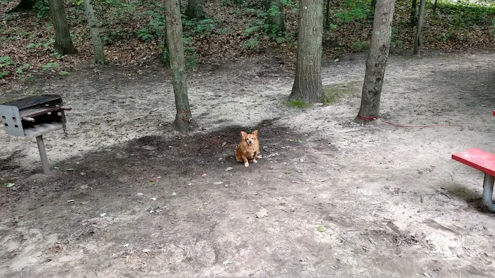 Mason County Campground Picture 6