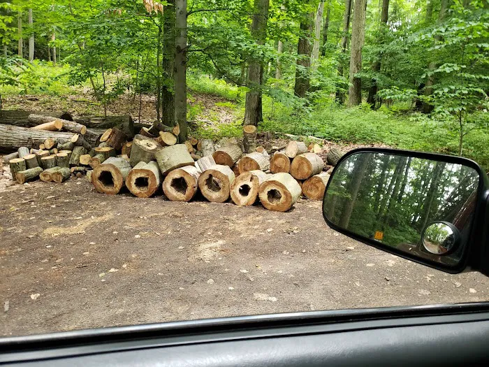 Mason County Campground Picture 4