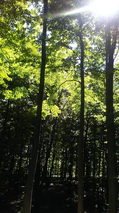 Mason County Campground Picture 7