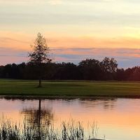 Farm View Resort ico