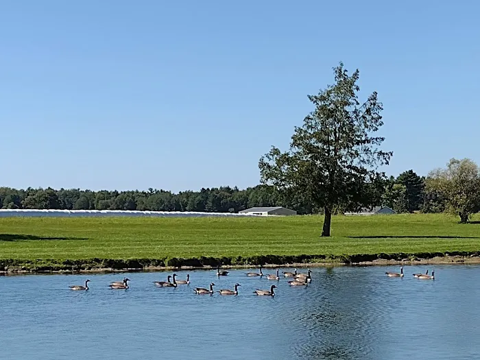 Farm View Resort Picture 10