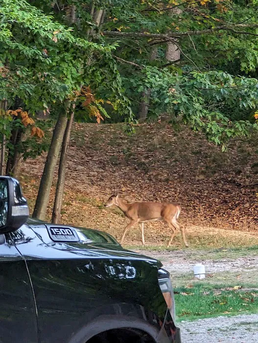 Cartier Park Campground Picture 8
