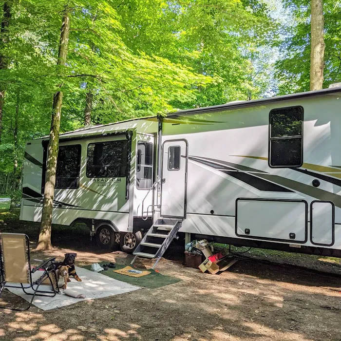 Lakeview Campsite Picture 3