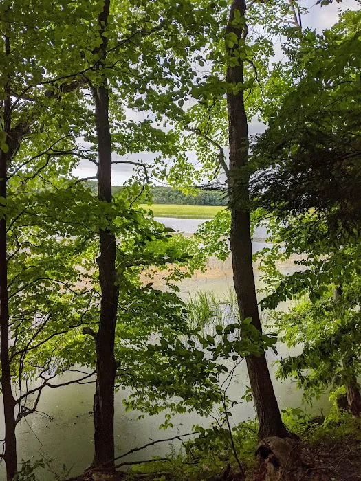 Lakeview Campsite Picture 7