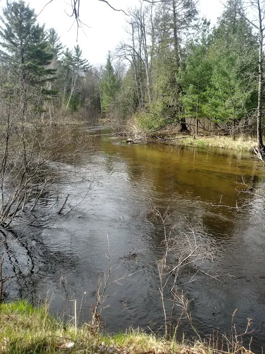 Bear Track Campground Picture 1