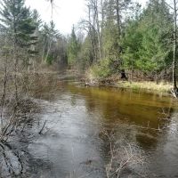 Bear Track Campground ico