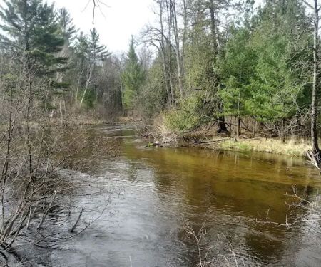 Bear Track Campground