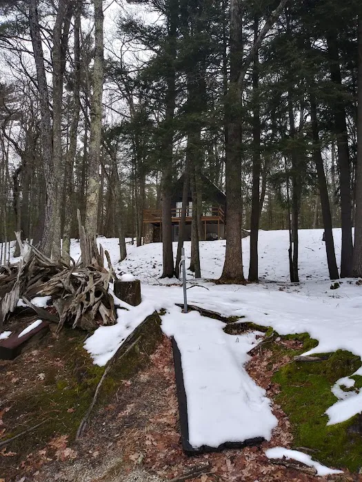Bear Track Campground Picture 8