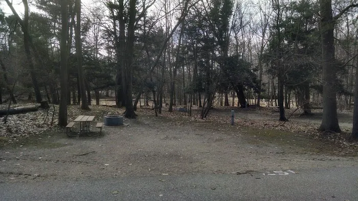 Beechwood Campground Picture 3