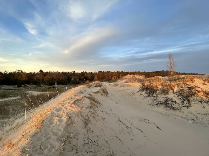 Pines Campground Picture 6