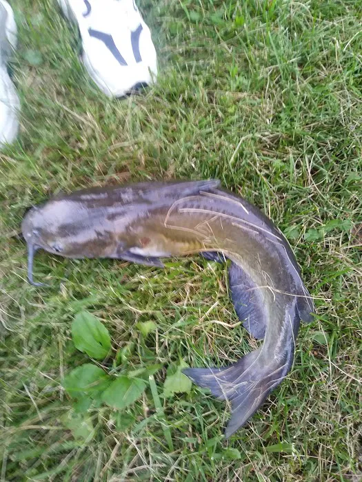 Champaign Sportsman's Club Picture 4