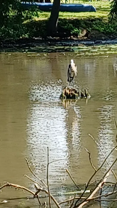 Champaign Sportsman's Club Picture 5