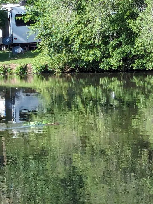 Champaign Sportsman's Club Picture 8