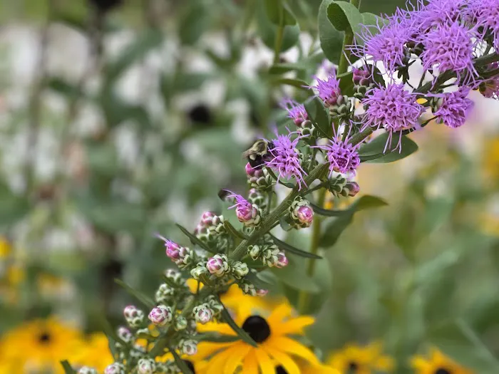 Champaign County Forest Preserve District Picture 5