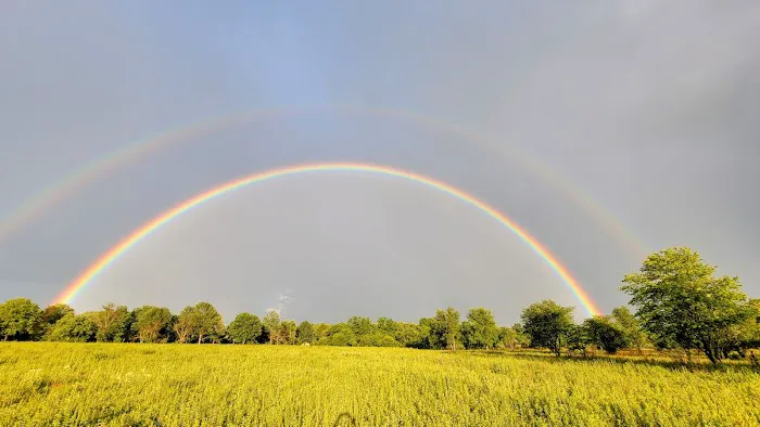 Champaign County Forest Preserve District Picture 6