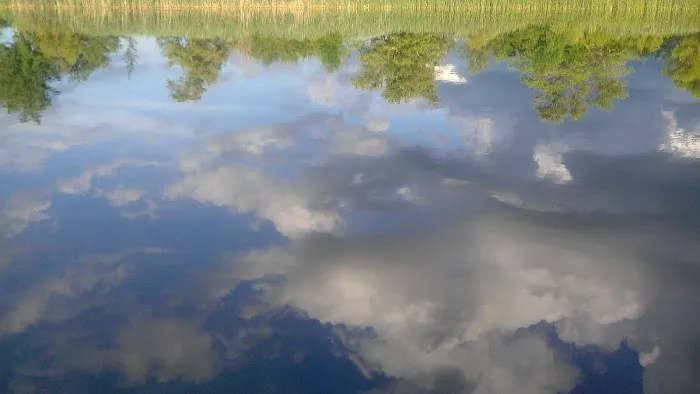 Barking Bear Leisure Park Picture 7