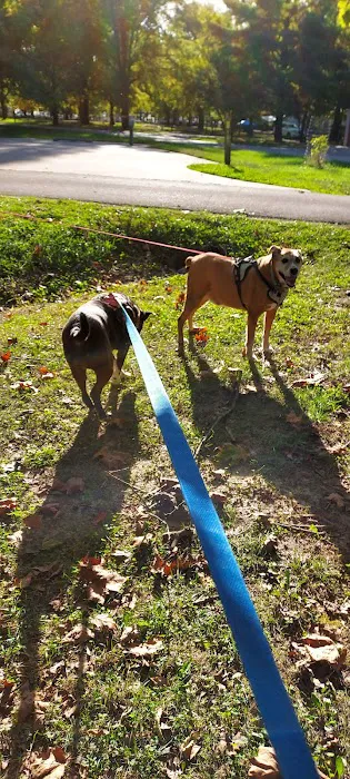 Plainview Campground Picture 6