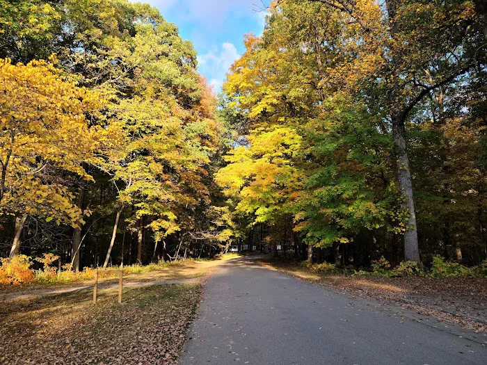 Plainview Campground Picture 10