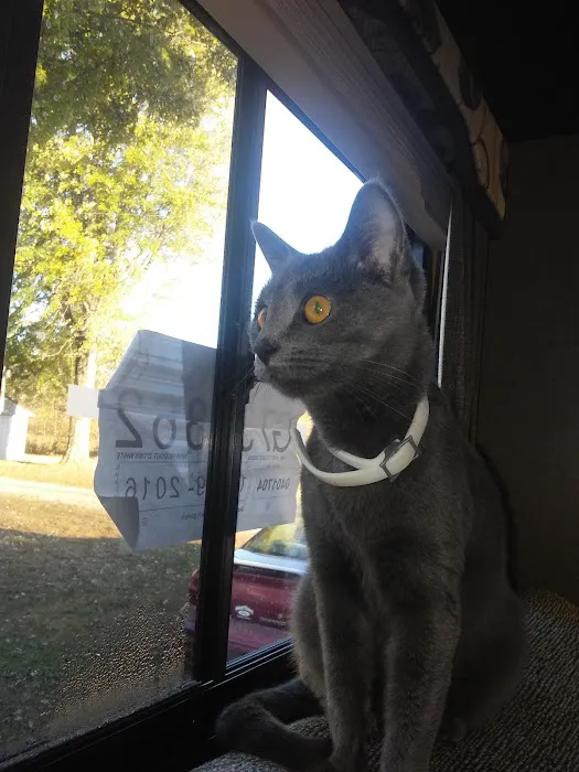 CJC Campgrounds Picture 2