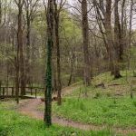 Ouabache Trails Campground