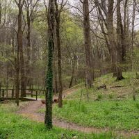 Ouabache Trails Campground ico