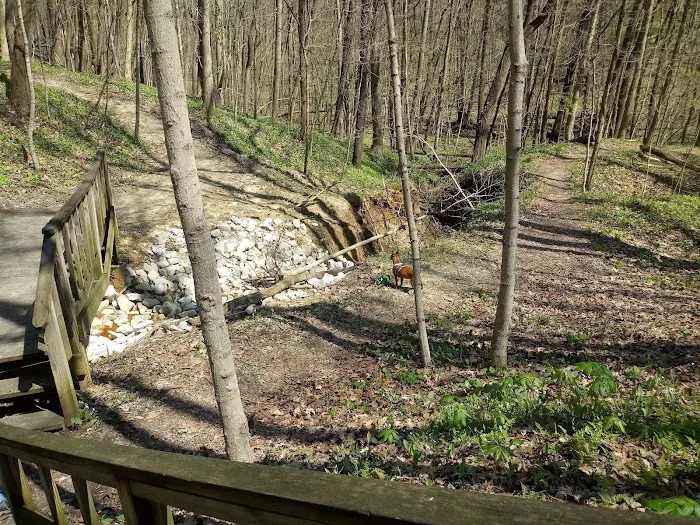 Ouabache Trails Campground Picture 6