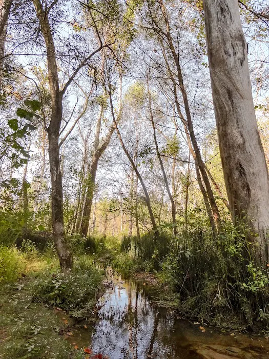 Ouabache Trails Campground Picture 4