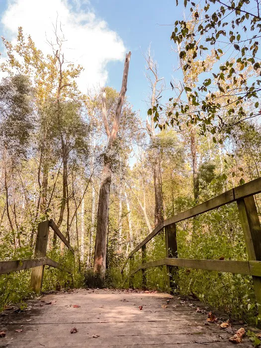 Ouabache Trails Campground Picture 10