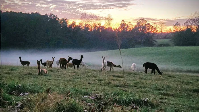 Tapestry Acres Picture 3