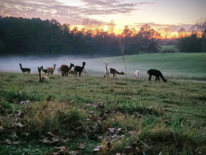 Tapestry Acres Picture 4