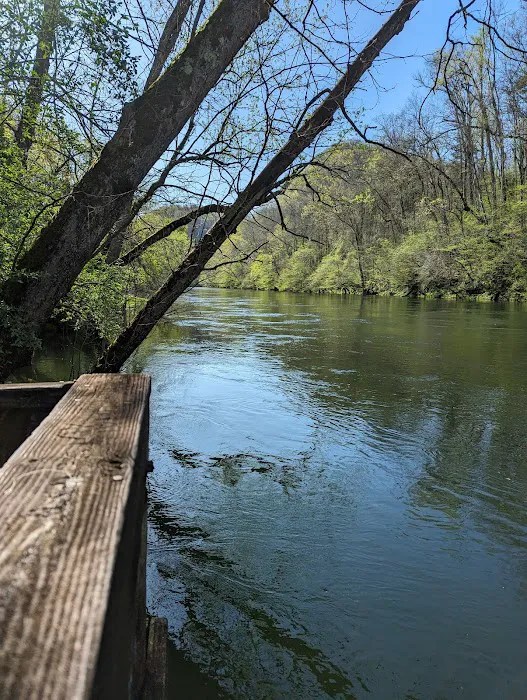 Dale Hollow Dam Campground Picture 9