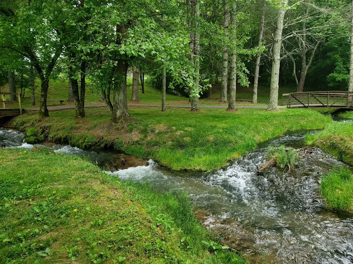 Dale Hollow Dam Campground Picture 8