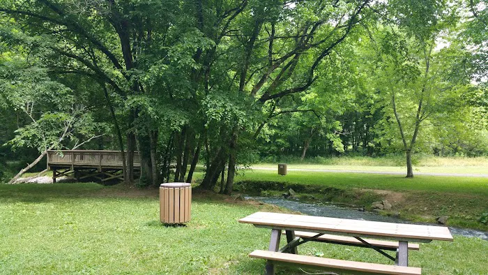 Dale Hollow Dam Campground Picture 10