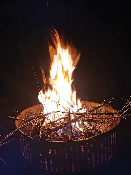 Misty river haven Picture 5