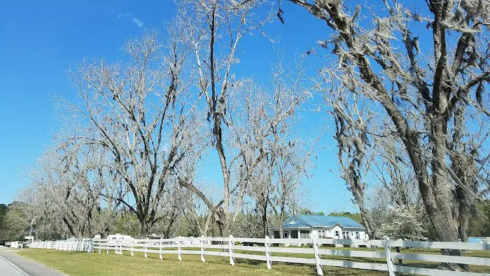 Stoney Crest Plantation Campground Picture 4