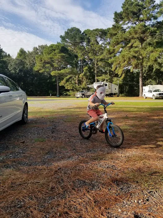 Hardeeville RV- Thomas Parks and Sites Picture 9