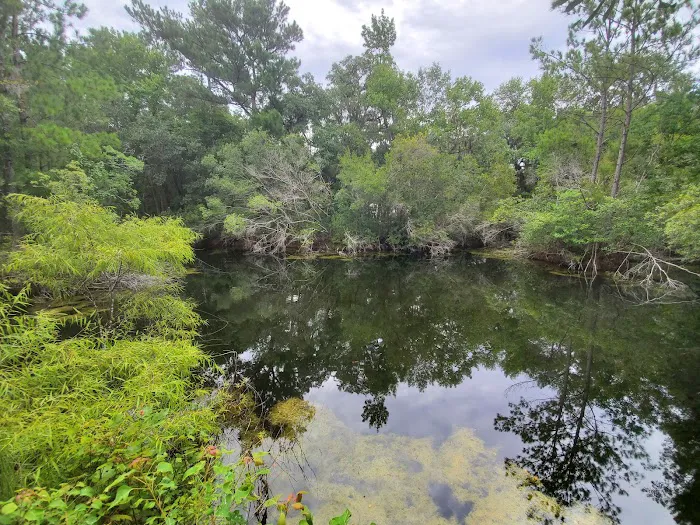 Tuck In De Wood Campgrounds Picture 4