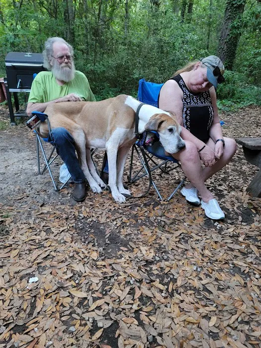 Tuck In De Wood Campgrounds Picture 9