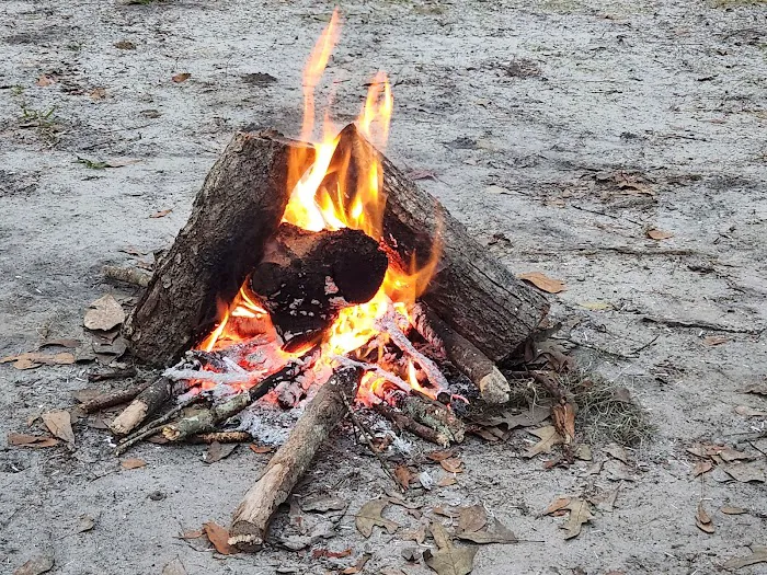 Tuck In De Wood Campgrounds Picture 10