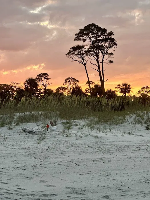 Hunting Island State Park Campground Picture 5