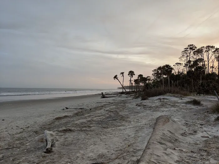 Hunting Island State Park Campground Picture 4