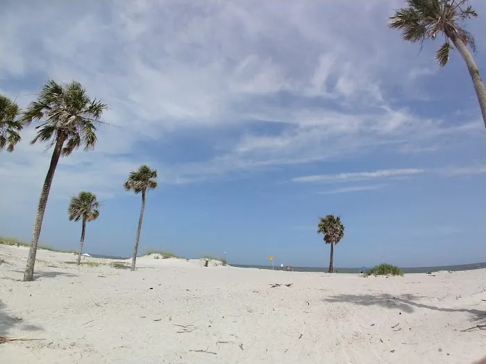 Hunting Island State Park Campground Picture 8