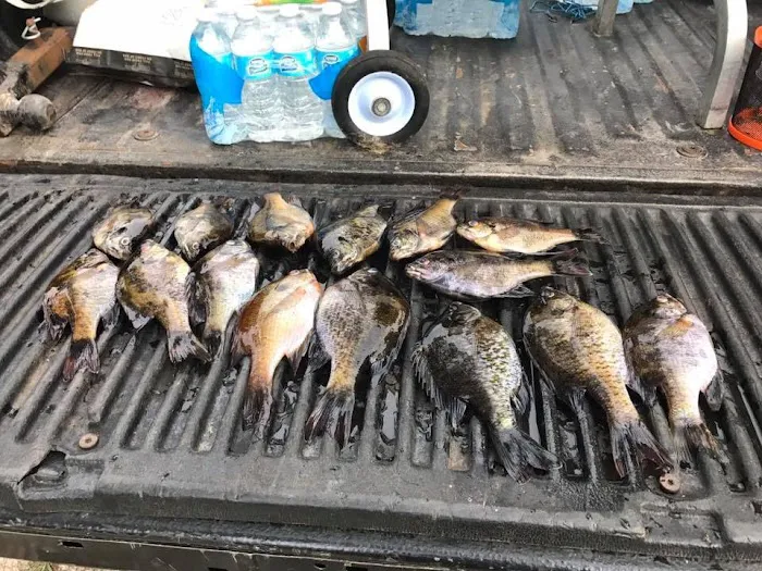 Griffin Lakes Campground Picture 4