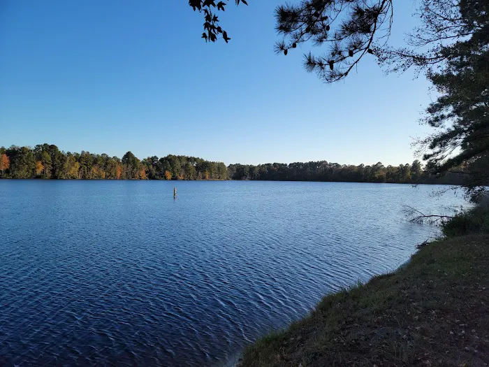 Griffin Lakes Campground Picture 7