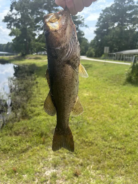 Griffin Lakes Campground Picture 8