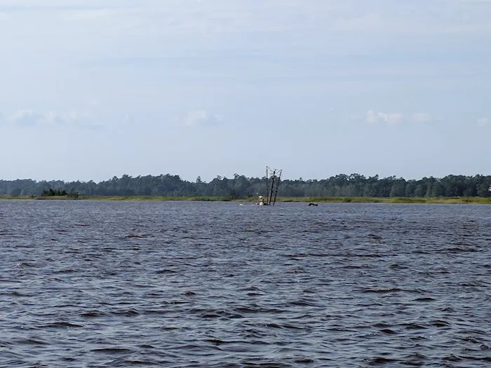 Hidden Marina & Campground Picture 6